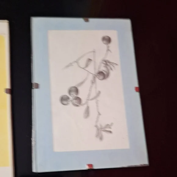 Vintage Botanical Art Trio | Signed BARSS | Pressed Leaf & Sketches - Picture 4 of 9